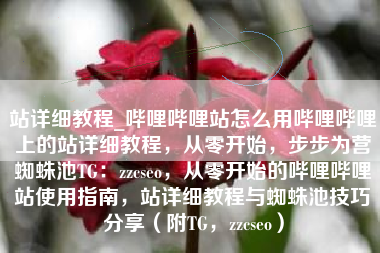 站详细教程_哔哩哔哩站怎么用哔哩哔哩上的站详细教程，从零开始，步步为营蜘蛛池TG：zzcseo，从零开始的哔哩哔哩站使用指南，站详细教程与蜘蛛池技巧分享（附TG，zzcseo）