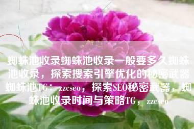 蜘蛛池收录蜘蛛池收录一般要多久蜘蛛池收录，探索搜索引擎优化的秘密武器蜘蛛池TG：zzcseo，探索SEO秘密武器，蜘蛛池收录时间与策略TG，zzcseo