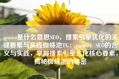 seoseo是什么意思SEO，搜索引擎优化的关键要素与实践蜘蛛池TG：zzcseo，SEO的含义与实践，掌握搜索引擎优化核心要素，揭秘蜘蛛池的秘密