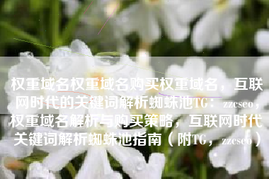 权重域名权重域名购买权重域名，互联网时代的关键词解析蜘蛛池TG：zzcseo，权重域名解析与购买策略，互联网时代关键词解析蜘蛛池指南（附TG，zzcseo）