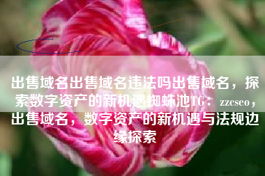 出售域名出售域名违法吗出售域名，探索数字资产的新机遇蜘蛛池TG：zzcseo，出售域名，数字资产的新机遇与法规边缘探索