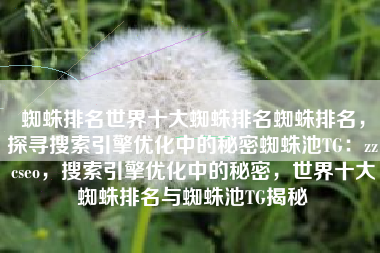 蜘蛛排名世界十大蜘蛛排名蜘蛛排名，探寻搜索引擎优化中的秘密蜘蛛池TG：zzcseo，搜索引擎优化中的秘密，世界十大蜘蛛排名与蜘蛛池TG揭秘