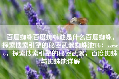 百度蜘蛛百度蜘蛛池是什么百度蜘蛛，探索搜索引擎的秘密武器蜘蛛池TG：zzcseo，探索搜索引擎的秘密武器，百度蜘蛛与蜘蛛池详解