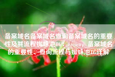 备案域名备案域名查询备案域名的重要性及其流程蜘蛛池TG：zzcseo，备案域名的重要性、查询流程与蜘蛛池TG详解