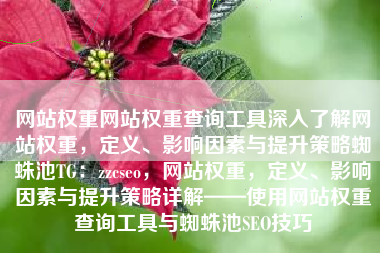 网站权重网站权重查询工具深入了解网站权重，定义、影响因素与提升策略蜘蛛池TG：zzcseo，网站权重，定义、影响因素与提升策略详解——使用网站权重查询工具与蜘蛛池SEO技巧