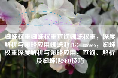 蜘蛛权重蜘蛛权重查询蜘蛛权重，深度解析与策略应用蜘蛛池TG：zzcseo，蜘蛛权重深度解析与策略应用，查询、解析及蜘蛛池SEO技巧
