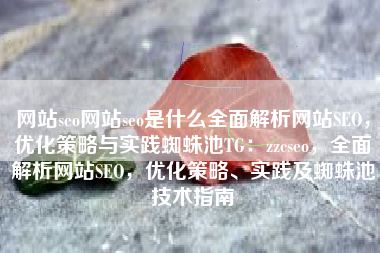 网站seo网站seo是什么全面解析网站SEO，优化策略与实践蜘蛛池TG：zzcseo，全面解析网站SEO，优化策略、实践及蜘蛛池技术指南