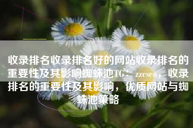 收录排名收录排名好的网站收录排名的重要性及其影响蜘蛛池TG：zzcseo，收录排名的重要性及其影响，优质网站与蜘蛛池策略