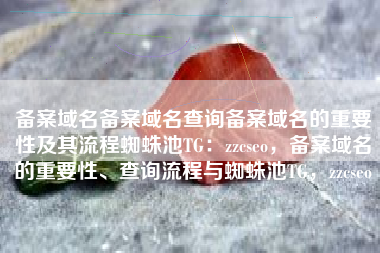 备案域名备案域名查询备案域名的重要性及其流程蜘蛛池TG：zzcseo，备案域名的重要性、查询流程与蜘蛛池TG，zzcseo