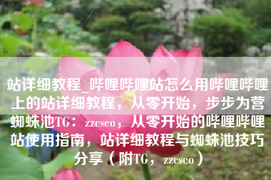 站详细教程_哔哩哔哩站怎么用哔哩哔哩上的站详细教程，从零开始，步步为营蜘蛛池TG：zzcseo，从零开始的哔哩哔哩站使用指南，站详细教程与蜘蛛池技巧分享（附TG，zzcseo）