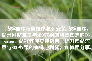 站群程序站群程序怎么安装站群程序，提升网站流量与SEO效果的利器蜘蛛池TG：zzcseo，站群程序安装指南，提升网站流量与SEO效果的蜘蛛池利器，TG教程分享。