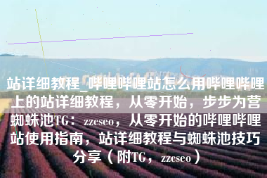 站详细教程_哔哩哔哩站怎么用哔哩哔哩上的站详细教程，从零开始，步步为营蜘蛛池TG：zzcseo，从零开始的哔哩哔哩站使用指南，站详细教程与蜘蛛池技巧分享（附TG，zzcseo）