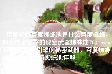 百度蜘蛛百度蜘蛛池是什么百度蜘蛛，探索搜索引擎的秘密武器蜘蛛池TG：zzcseo，探索搜索引擎的秘密武器，百度蜘蛛与蜘蛛池详解