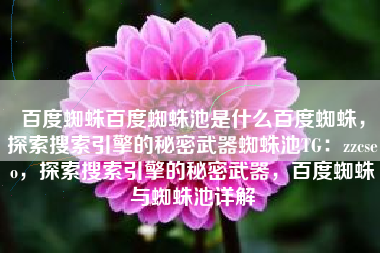 百度蜘蛛百度蜘蛛池是什么百度蜘蛛，探索搜索引擎的秘密武器蜘蛛池TG：zzcseo，探索搜索引擎的秘密武器，百度蜘蛛与蜘蛛池详解