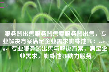 服务器出售服务器售卖服务器出售，专业解决方案满足企业需求蜘蛛池TG：zzcseo，专业服务器出售与解决方案，满足企业需求，蜘蛛池TG助力服务