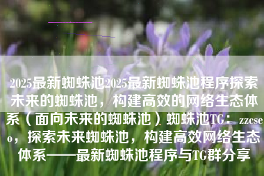 2025最新蜘蛛池2025最新蜘蛛池程序探索未来的蜘蛛池，构建高效的网络生态体系（面向未来的蜘蛛池）蜘蛛池TG：zzcseo，探索未来蜘蛛池，构建高效网络生态体系——最新蜘蛛池程序与TG群分享