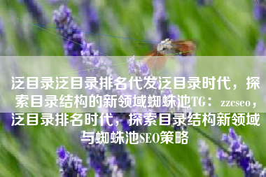 泛目录泛目录排名代发泛目录时代，探索目录结构的新领域蜘蛛池TG：zzcseo，泛目录排名时代，探索目录结构新领域与蜘蛛池SEO策略