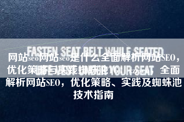 网站seo网站seo是什么全面解析网站SEO，优化策略与实践蜘蛛池TG：zzcseo，全面解析网站SEO，优化策略、实践及蜘蛛池技术指南