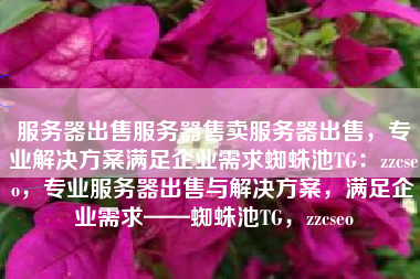 服务器出售服务器售卖服务器出售，专业解决方案满足企业需求蜘蛛池TG：zzcseo，专业服务器出售与解决方案，满足企业需求——蜘蛛池TG，zzcseo