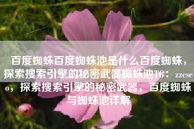 百度蜘蛛百度蜘蛛池是什么百度蜘蛛，探索搜索引擎的秘密武器蜘蛛池TG：zzcseo，探索搜索引擎的秘密武器，百度蜘蛛与蜘蛛池详解