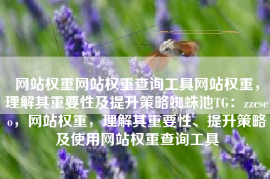 网站权重网站权重查询工具网站权重，理解其重要性及提升策略蜘蛛池TG：zzcseo，网站权重，理解其重要性、提升策略及使用网站权重查询工具
