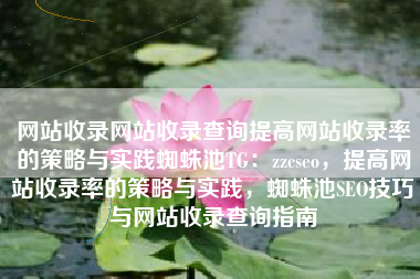 网站收录网站收录查询提高网站收录率的策略与实践蜘蛛池TG：zzcseo，提高网站收录率的策略与实践，蜘蛛池SEO技巧与网站收录查询指南