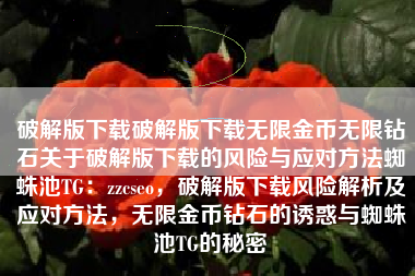 破解版下载破解版下载无限金币无限钻石关于破解版下载的风险与应对方法蜘蛛池TG：zzcseo，破解版下载风险解析及应对方法，无限金币钻石的诱惑与蜘蛛池TG的秘密