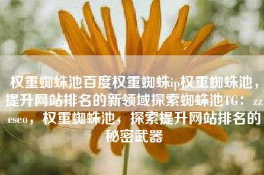 权重蜘蛛池百度权重蜘蛛ip权重蜘蛛池，提升网站排名的新领域探索蜘蛛池TG：zzcseo，权重蜘蛛池，探索提升网站排名的秘密武器