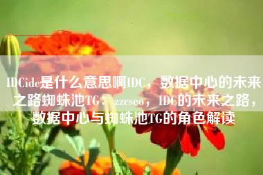 IDCidc是什么意思啊IDC，数据中心的未来之路蜘蛛池TG：zzcseo，IDC的未来之路，数据中心与蜘蛛池TG的角色解读
