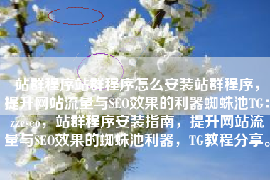 站群程序站群程序怎么安装站群程序，提升网站流量与SEO效果的利器蜘蛛池TG：zzcseo，站群程序安装指南，提升网站流量与SEO效果的蜘蛛池利器，TG教程分享。