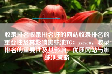 收录排名收录排名好的网站收录排名的重要性及其影响蜘蛛池TG：zzcseo，收录排名的重要性及其影响，优质网站与蜘蛛池策略