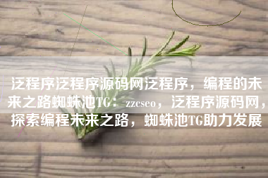 泛程序泛程序源码网泛程序，编程的未来之路蜘蛛池TG：zzcseo，泛程序源码网，探索编程未来之路，蜘蛛池TG助力发展