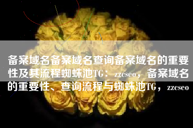 备案域名备案域名查询备案域名的重要性及其流程蜘蛛池TG：zzcseo，备案域名的重要性、查询流程与蜘蛛池TG，zzcseo