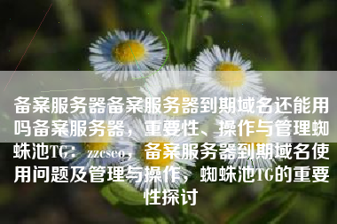 备案服务器备案服务器到期域名还能用吗备案服务器，重要性、操作与管理蜘蛛池TG：zzcseo，备案服务器到期域名使用问题及管理与操作，蜘蛛池TG的重要性探讨