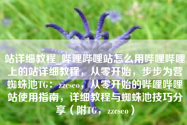 站详细教程_哔哩哔哩站怎么用哔哩哔哩上的站详细教程，从零开始，步步为营蜘蛛池TG：zzcseo，从零开始的哔哩哔哩站使用指南，详细教程与蜘蛛池技巧分享（附TG，zzcseo）