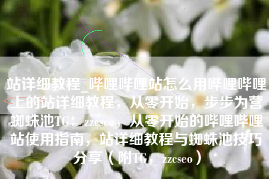 站详细教程_哔哩哔哩站怎么用哔哩哔哩上的站详细教程，从零开始，步步为营蜘蛛池TG：zzcseo，从零开始的哔哩哔哩站使用指南，站详细教程与蜘蛛池技巧分享（附TG，zzcseo）