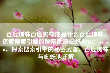 百度蜘蛛百度蜘蛛池是什么百度蜘蛛，探索搜索引擎的秘密武器蜘蛛池TG：zzcseo，探索搜索引擎的秘密武器，百度蜘蛛与蜘蛛池详解