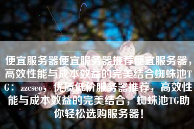 便宜服务器便宜服务器推荐便宜服务器，高效性能与成本效益的完美结合蜘蛛池TG：zzcseo，优质低价服务器推荐，高效性能与成本效益的完美结合，蜘蛛池TG助你轻松选购服务器！