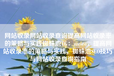 网站收录网站收录查询提高网站收录率的策略与实践蜘蛛池TG：zzcseo，提高网站收录率的策略与实践，蜘蛛池SEO技巧与网站收录查询指南