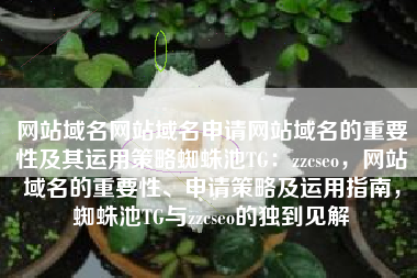 网站域名网站域名申请网站域名的重要性及其运用策略蜘蛛池TG：zzcseo，网站域名的重要性、申请策略及运用指南，蜘蛛池TG与zzcseo的独到见解