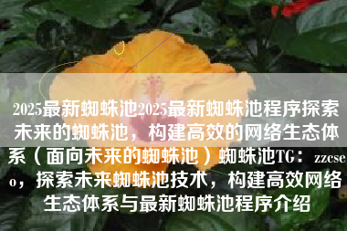 2025最新蜘蛛池2025最新蜘蛛池程序探索未来的蜘蛛池，构建高效的网络生态体系（面向未来的蜘蛛池）蜘蛛池TG：zzcseo，探索未来蜘蛛池技术，构建高效网络生态体系与最新蜘蛛池程序介绍
