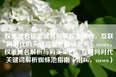 权重域名权重域名购买权重域名，互联网时代的关键词解析蜘蛛池TG：zzcseo，权重域名解析与购买策略，互联网时代关键词解析蜘蛛池指南（附TG，zzcseo）