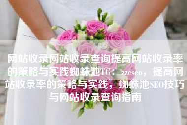 网站收录网站收录查询提高网站收录率的策略与实践蜘蛛池TG：zzcseo，提高网站收录率的策略与实践，蜘蛛池SEO技巧与网站收录查询指南