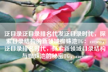 泛目录泛目录排名代发泛目录时代，探索目录结构的新领域蜘蛛池TG：zzcseo，泛目录排名时代，探索新领域目录结构与蜘蛛池的秘密TG，zzcseo