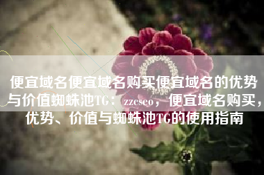 便宜域名便宜域名购买便宜域名的优势与价值蜘蛛池TG：zzcseo，便宜域名购买，优势、价值与蜘蛛池TG的使用指南