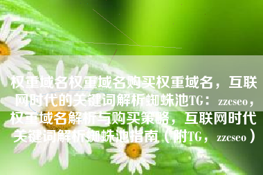 权重域名权重域名购买权重域名，互联网时代的关键词解析蜘蛛池TG：zzcseo，权重域名解析与购买策略，互联网时代关键词解析蜘蛛池指南（附TG，zzcseo）