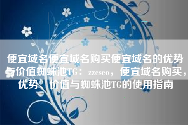 便宜域名便宜域名购买便宜域名的优势与价值蜘蛛池TG：zzcseo，便宜域名购买，优势、价值与蜘蛛池TG的使用指南