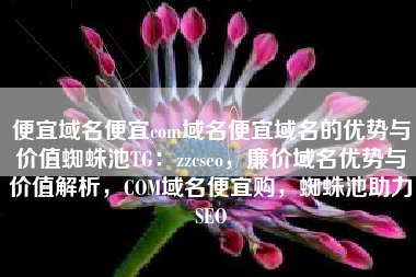 便宜域名便宜com域名便宜域名的优势与价值蜘蛛池TG：zzcseo，廉价域名优势与价值解析，COM域名便宜购，蜘蛛池助力SEO