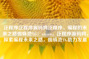 泛程序泛程序源码网泛程序，编程的未来之路蜘蛛池TG：zzcseo，泛程序源码网，探索编程未来之路，蜘蛛池TG助力发展