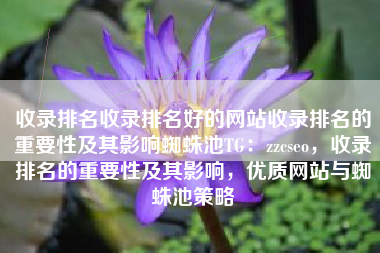 收录排名收录排名好的网站收录排名的重要性及其影响蜘蛛池TG：zzcseo，收录排名的重要性及其影响，优质网站与蜘蛛池策略